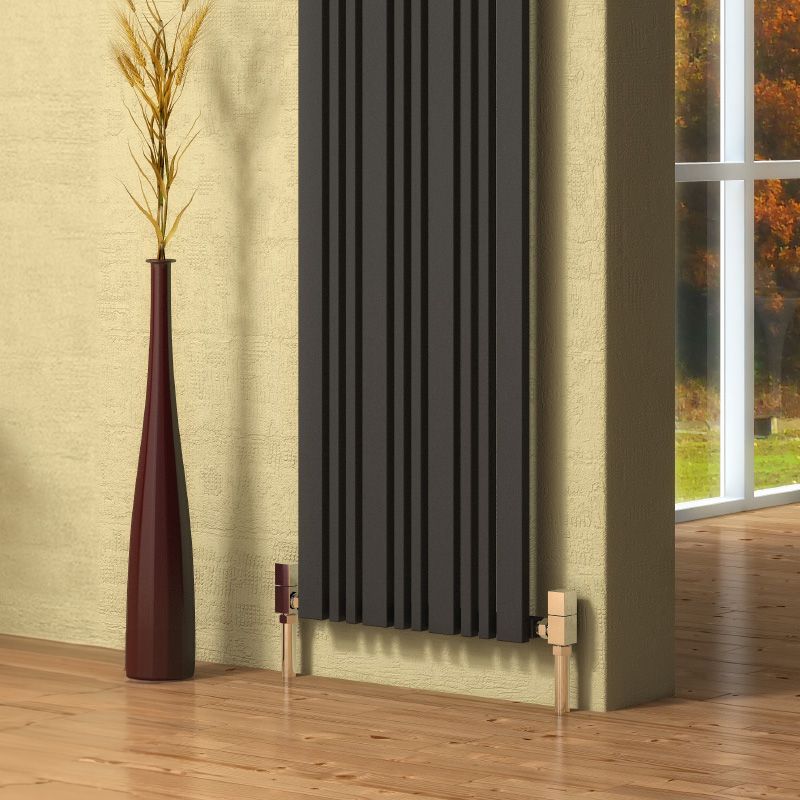 Reina Bonera Vertical Anthracite Designer Radiator