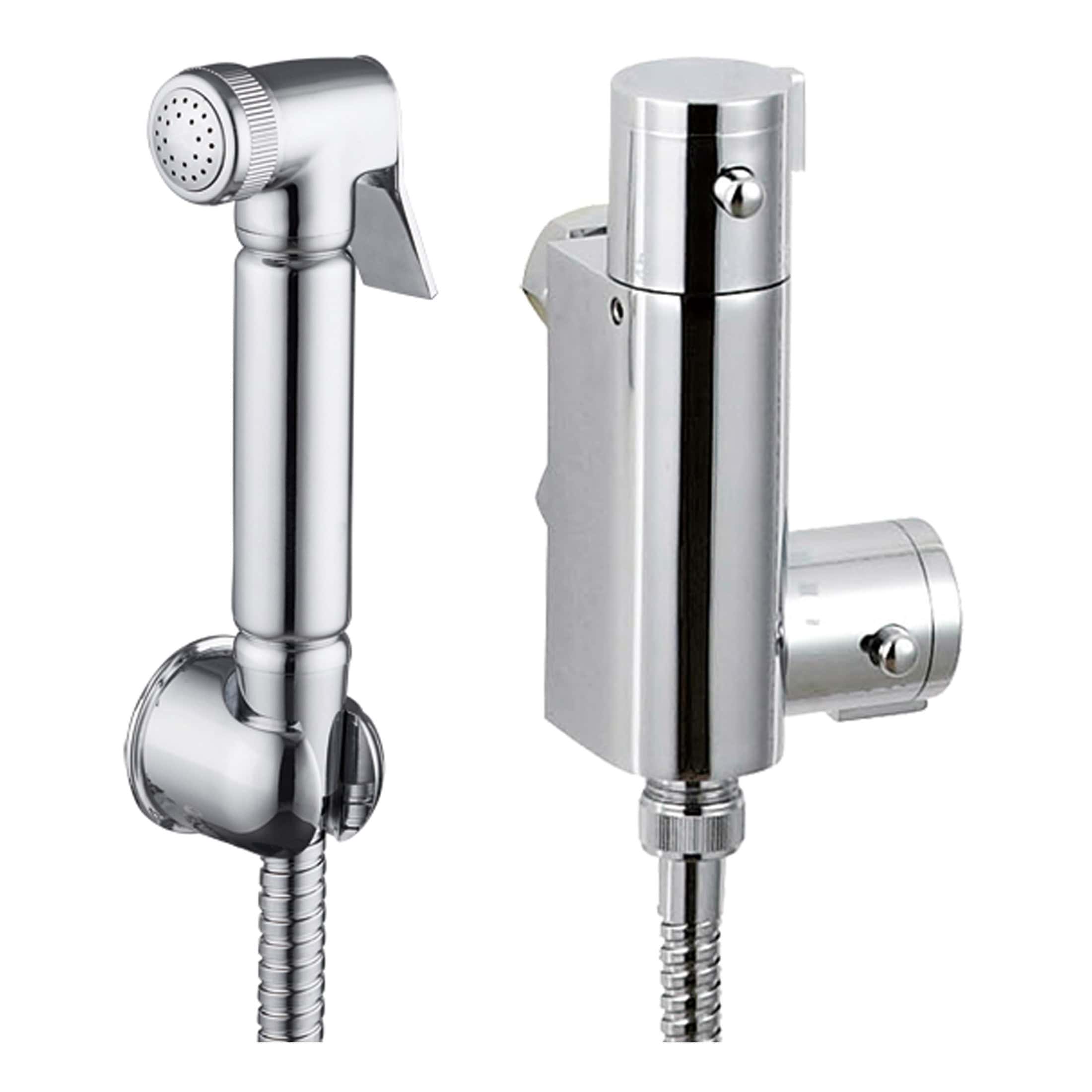 Polished chrome bathroom bidet spray and electric bidet toilet seat, modern bathroom fixtures, hygienic and easy to clean, ideal for bathroom renovation or upgrade.