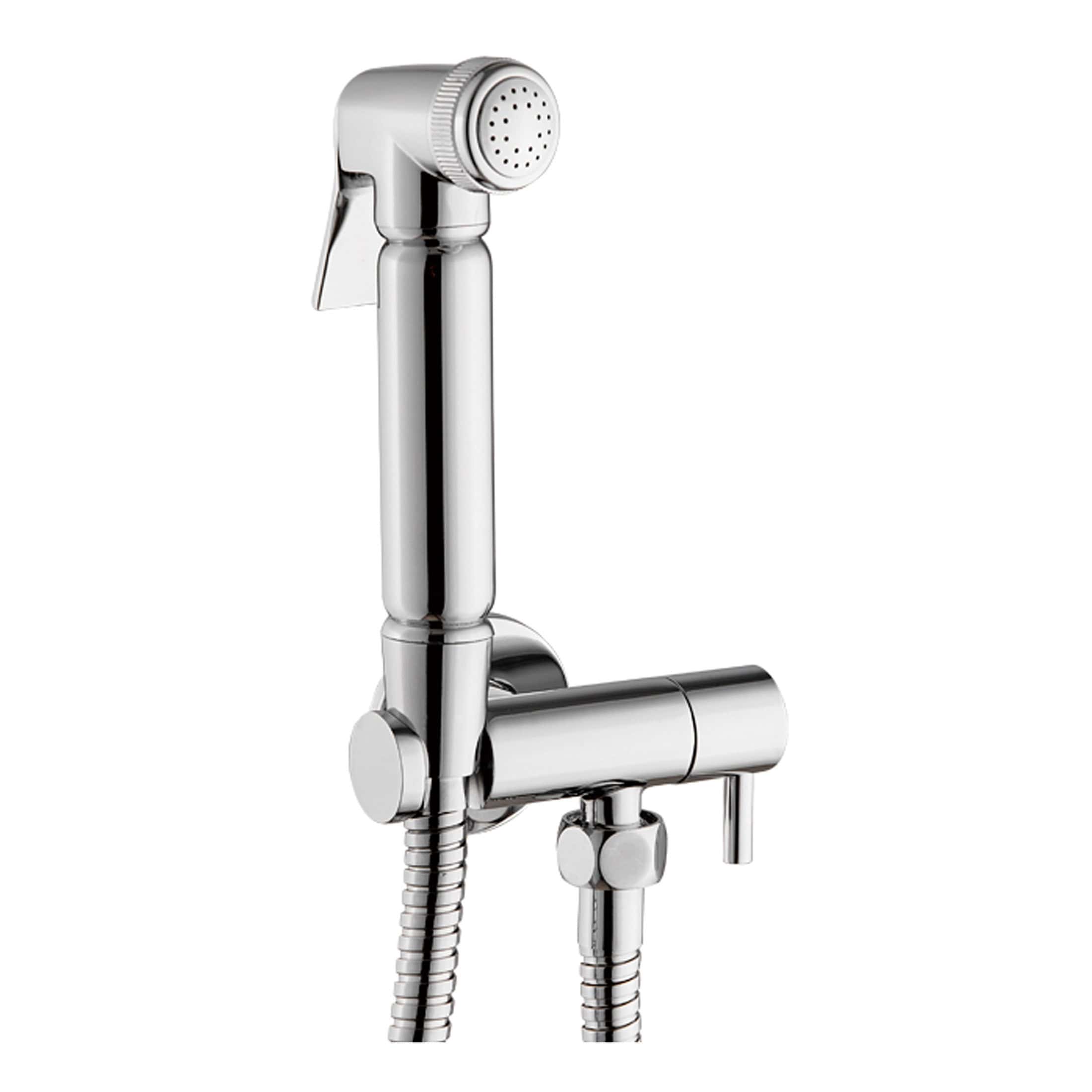 Polished chrome hand-held bathroom shower head with flexible hose for modern Bubly Bathrooms.