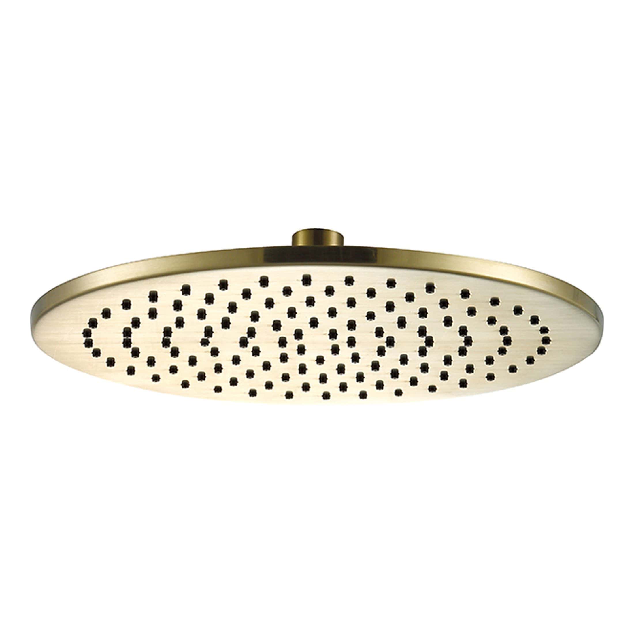 Polished brass round rainfall showerhead with multiple spray nozzles, modern design, suitable for luxury bathrooms, Bubly Bathrooms.