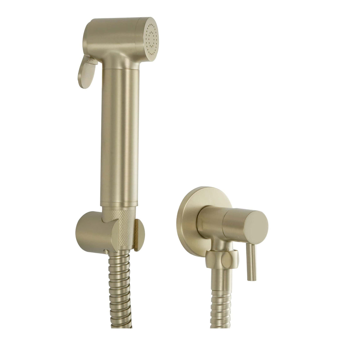 Modern satin nickel bathroom shower head and handheld spray with flexible hose for luxury bathroom fixtures.