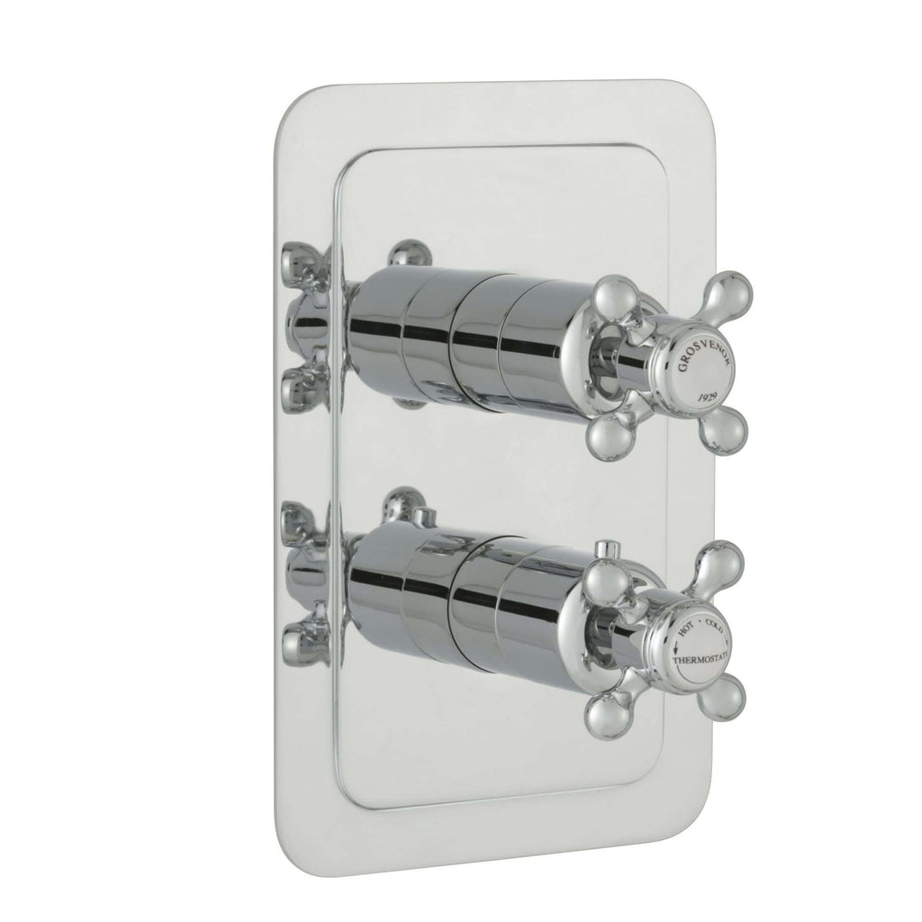 Shiny chrome thermostatic shower valve with dual controls on a silver mounting plate, modern bathroom fixture, high-quality plumbing accessory for precise temperature control.
