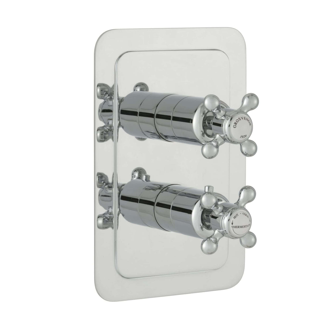 Shiny chrome thermostatic shower valve with dual controls on a silver mounting plate, modern bathroom fixture, high-quality plumbing accessory for precise temperature control.