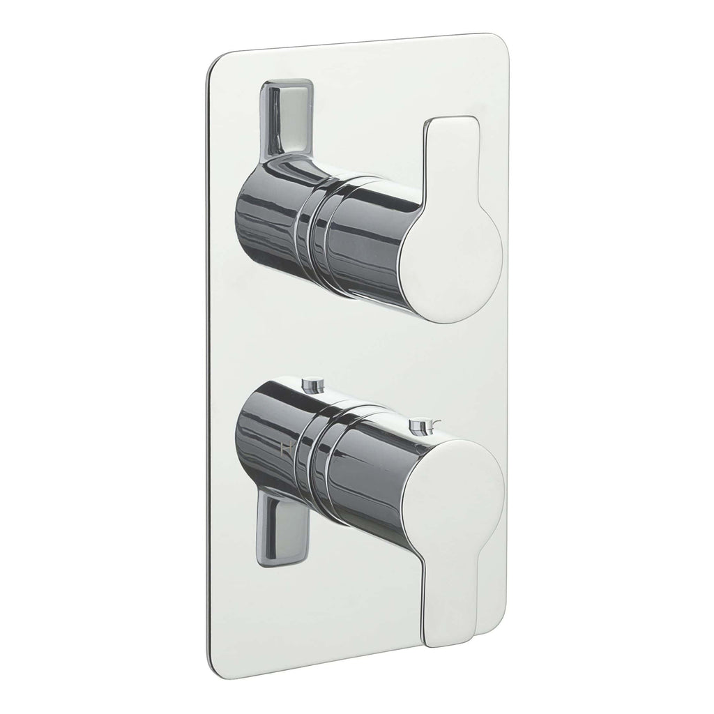 Polished chrome dual flush bathroom toilet flush plate, modern design for efficient water saving and easy installation. High-quality bathroom accessories from Bubly Bathrooms.