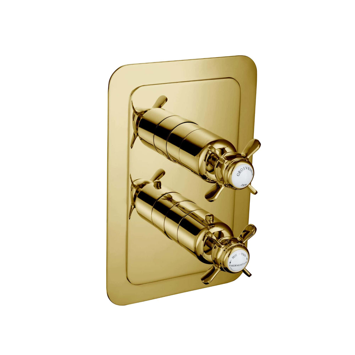 Polished gold shower control panel with two valves and white labels, bathroom fixtures, luxurious shower accessories, elegant design for premium bathroom decor.