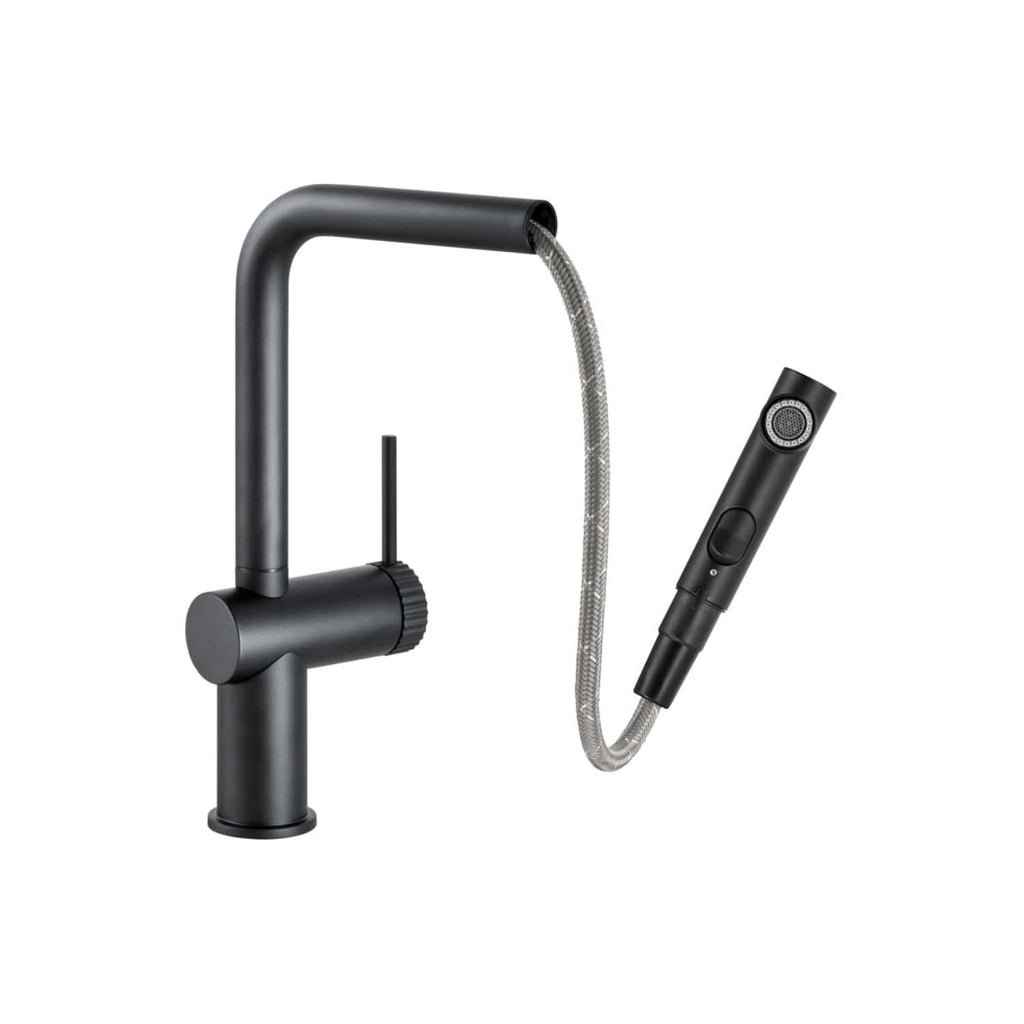 Sleek black kitchen tap with integrated handheld spray, modern design, and flexible hose for versatile kitchen sink use. Ideal for stylish, functional kitchen renovations.
