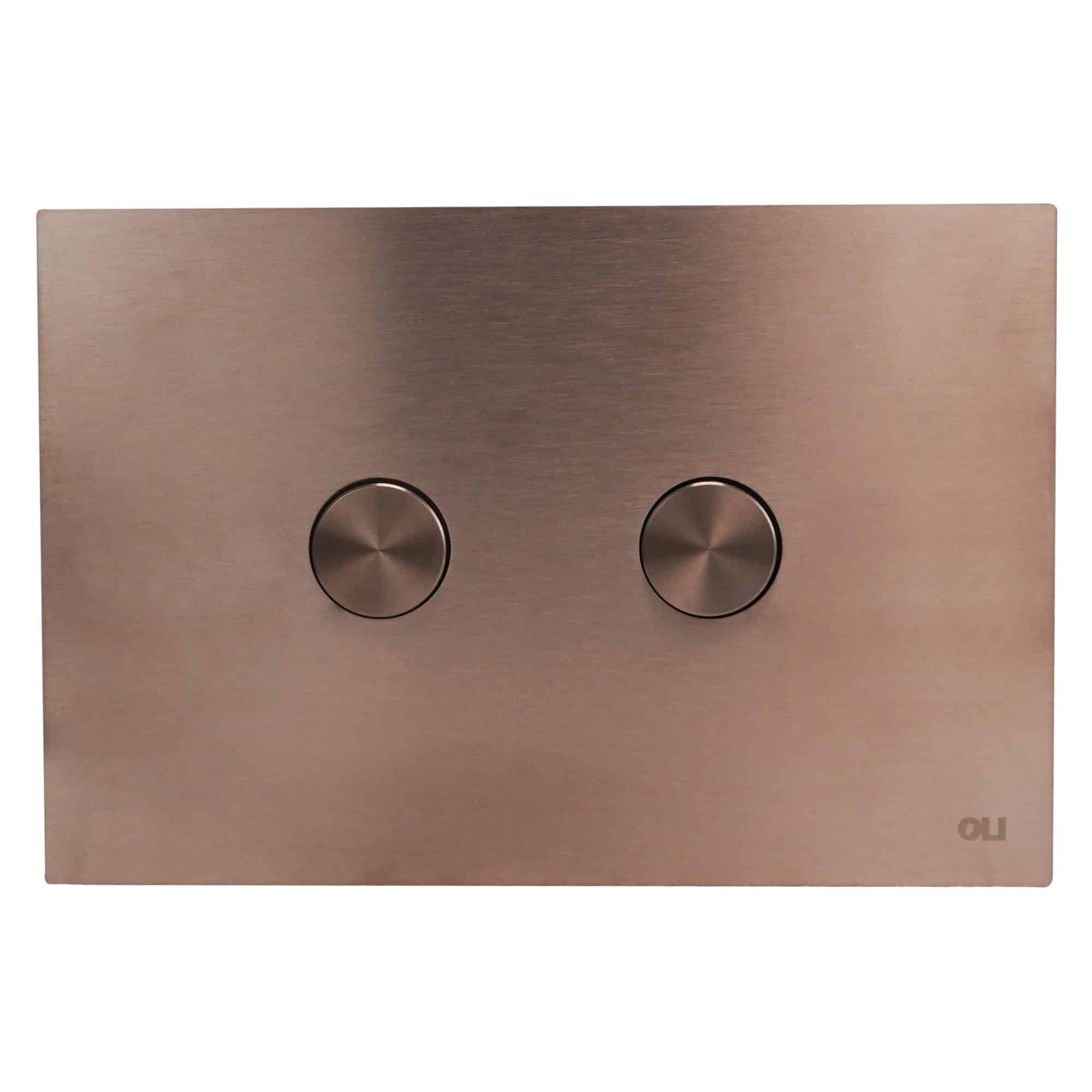 Sleek stainless steel double flush toilet button for modern bathroom design. Easy-to-use dual flush mechanism ideal for efficient water conservation. Enhances contemporary bathroom aesthetics.