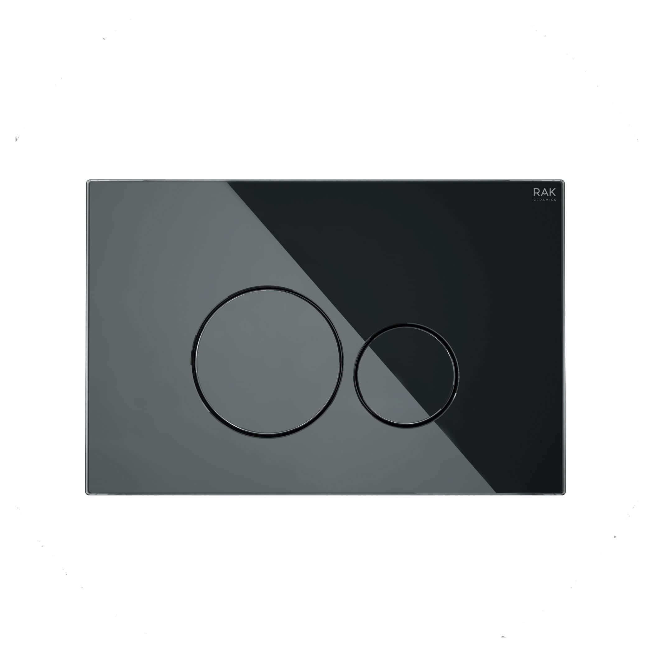 Sleek black and grey dual-flush toilet flush plate with modern circular buttons, designed for contemporary bathroom renovations, compatible with Bubly bathrooms.