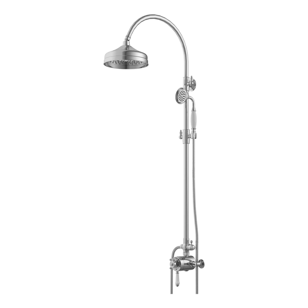 Stainless steel shower system with overhead rain showerhead, handheld shower and thermostatic mixer for modern bathroom renovation.