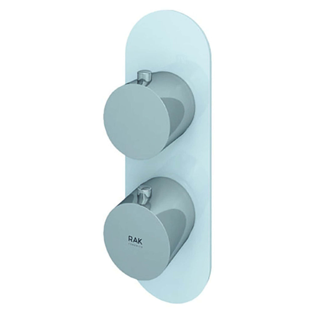 Adjustable thermostatic shower mixer valve with dual control dials for precise temperature and flow regulation, designed for modern bathroom bathrooms and high-quality plumbing fixtures.