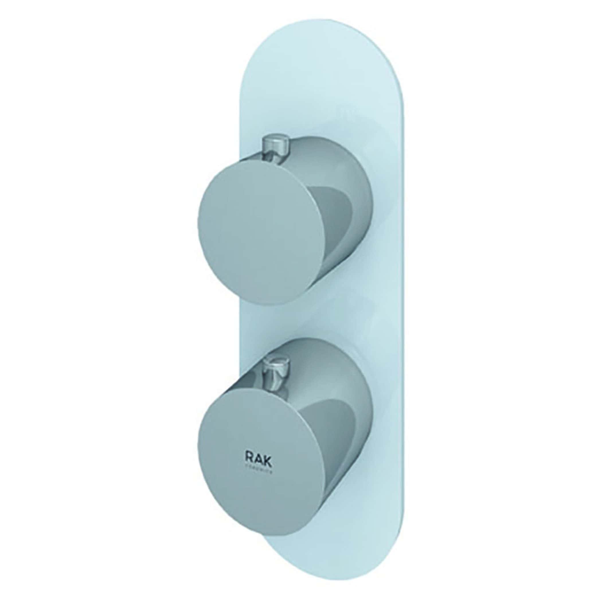 Adjustable thermostatic shower mixer valve with dual control dials for precise temperature and flow regulation, designed for modern bathroom bathrooms and high-quality plumbing fixtures.