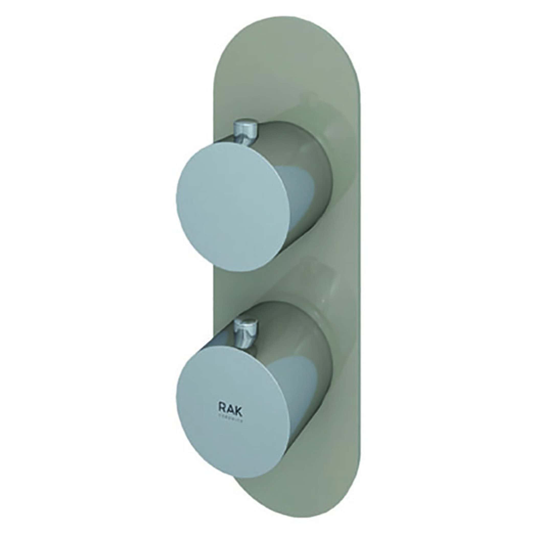 Standardised shower valve with dual controls for precise temperature and water flow adjustment, ideal for modern bathroom installations.
