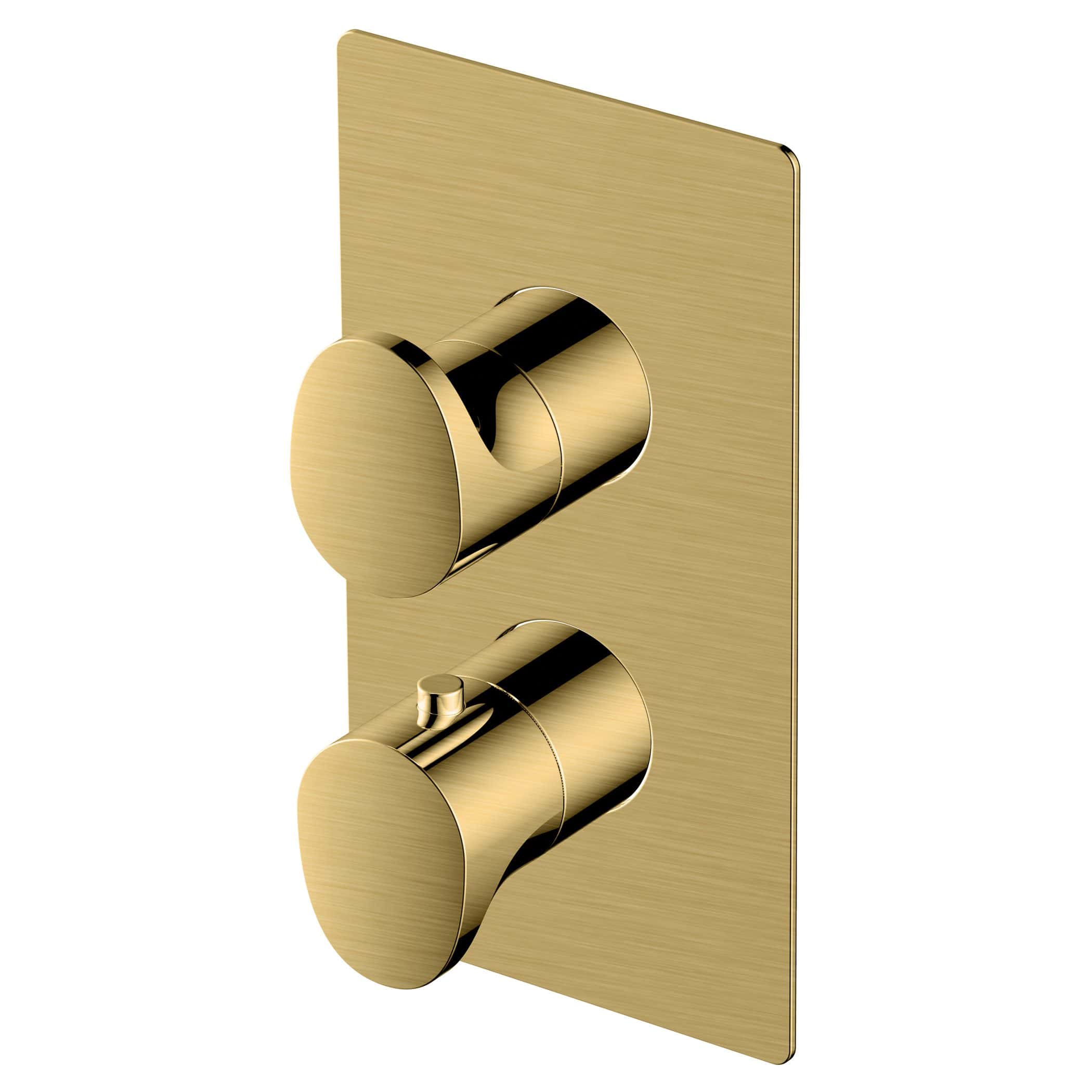 Brass bathroom shower and tap control panel with dual knobs, modern luxury design for elegant shower systems.