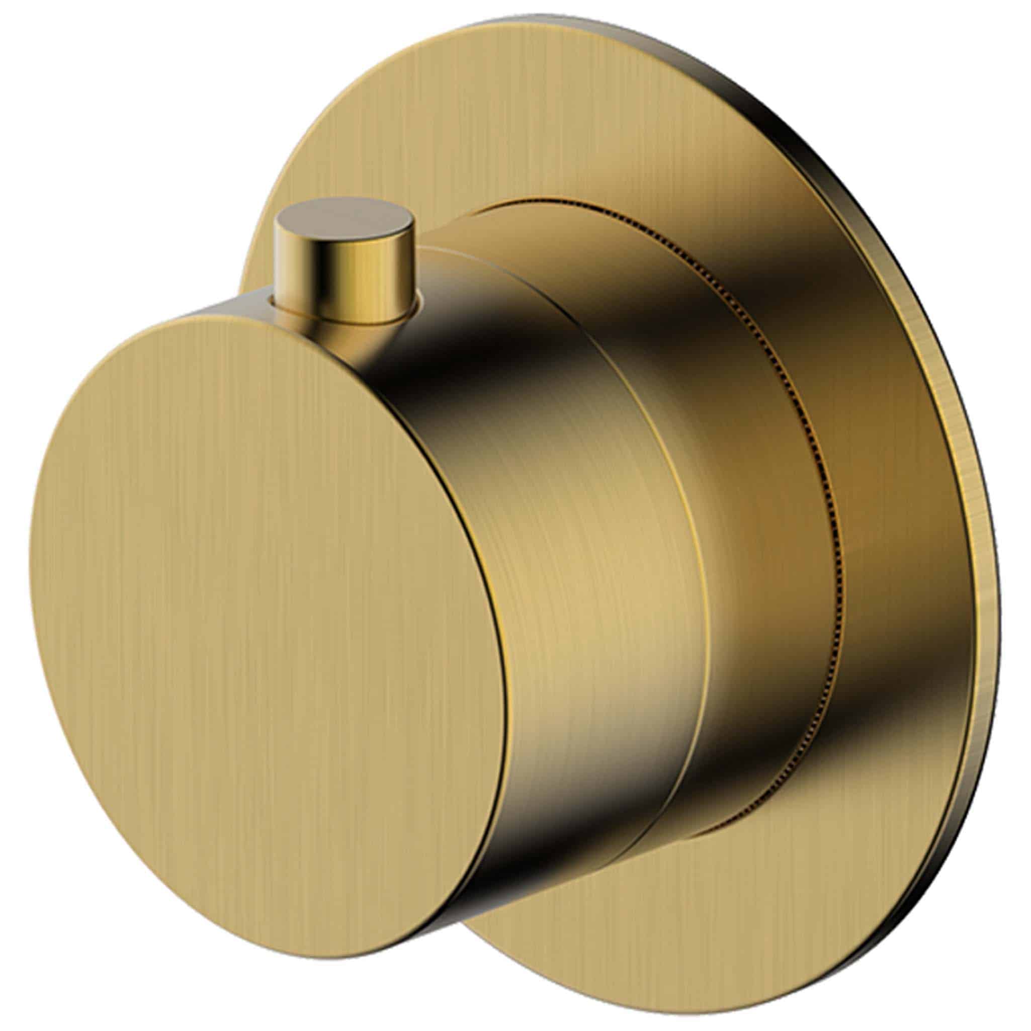 Polished brass bathroom thermostatic shower valve for modern Bubly Bathrooms. High-quality, stylish fixture ideal for upscale bathroom renovations and fittings.