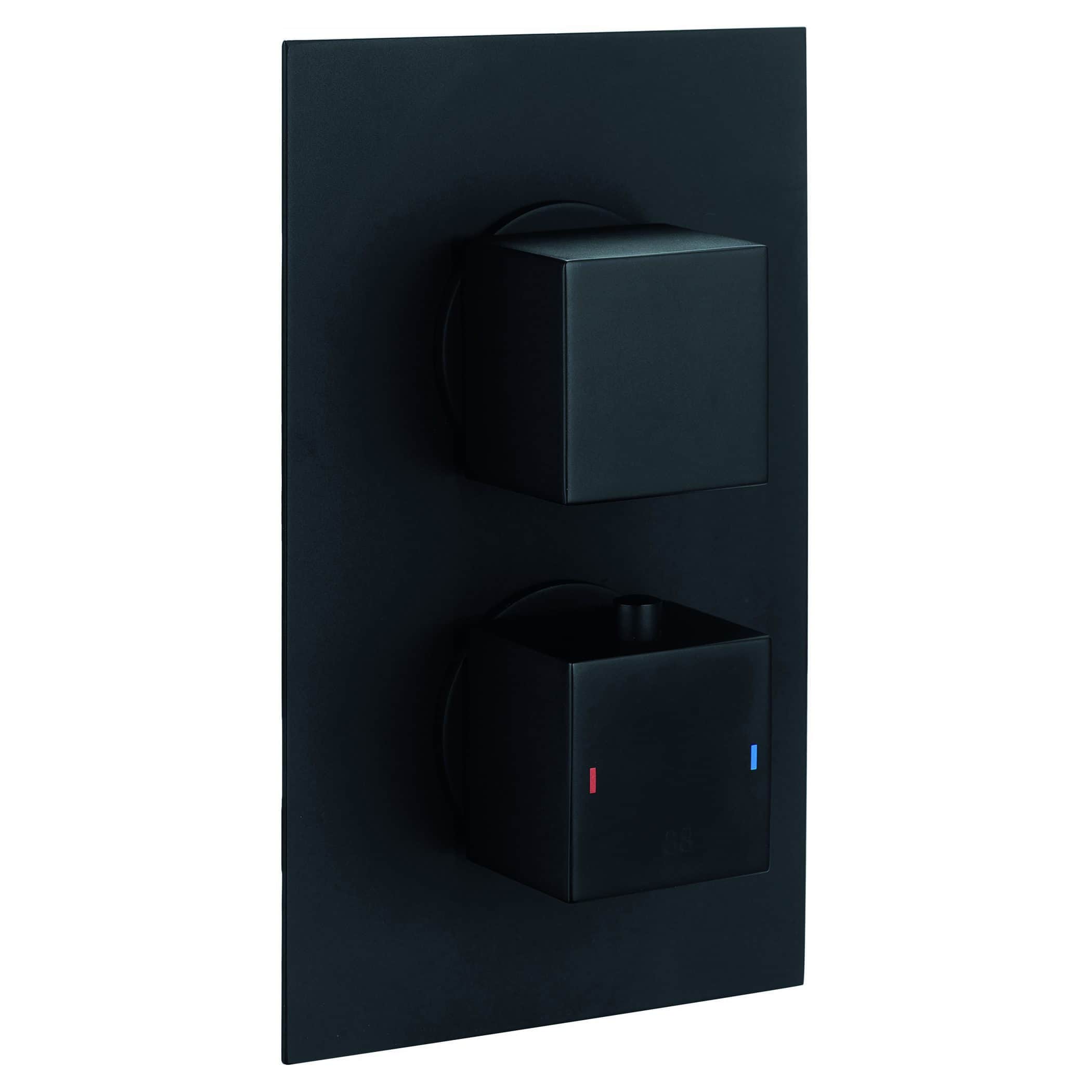 Sleek black dual thermostatic shower valve with digital temperature controls, perfect for modern Bubly bathrooms. Enhance your shower experience with stylish and functional bathroom fixtures.