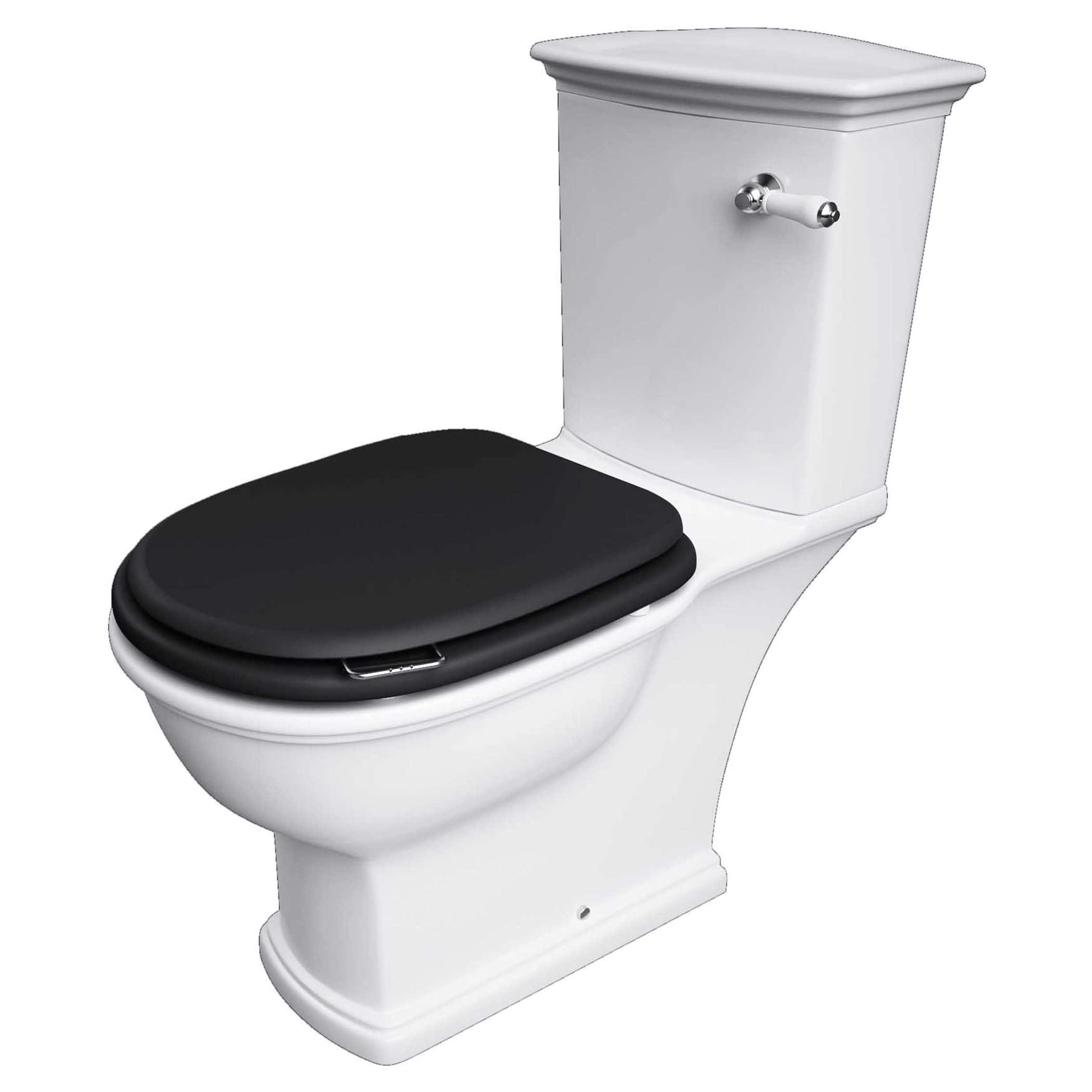 Toilet with black cushioned seat, ceramic cistern, and chrome flush handle, ideal for modern bathrooms and eco-friendly plumbing solutions. Perfect for enhancing bathroom aesthetics and functionality.