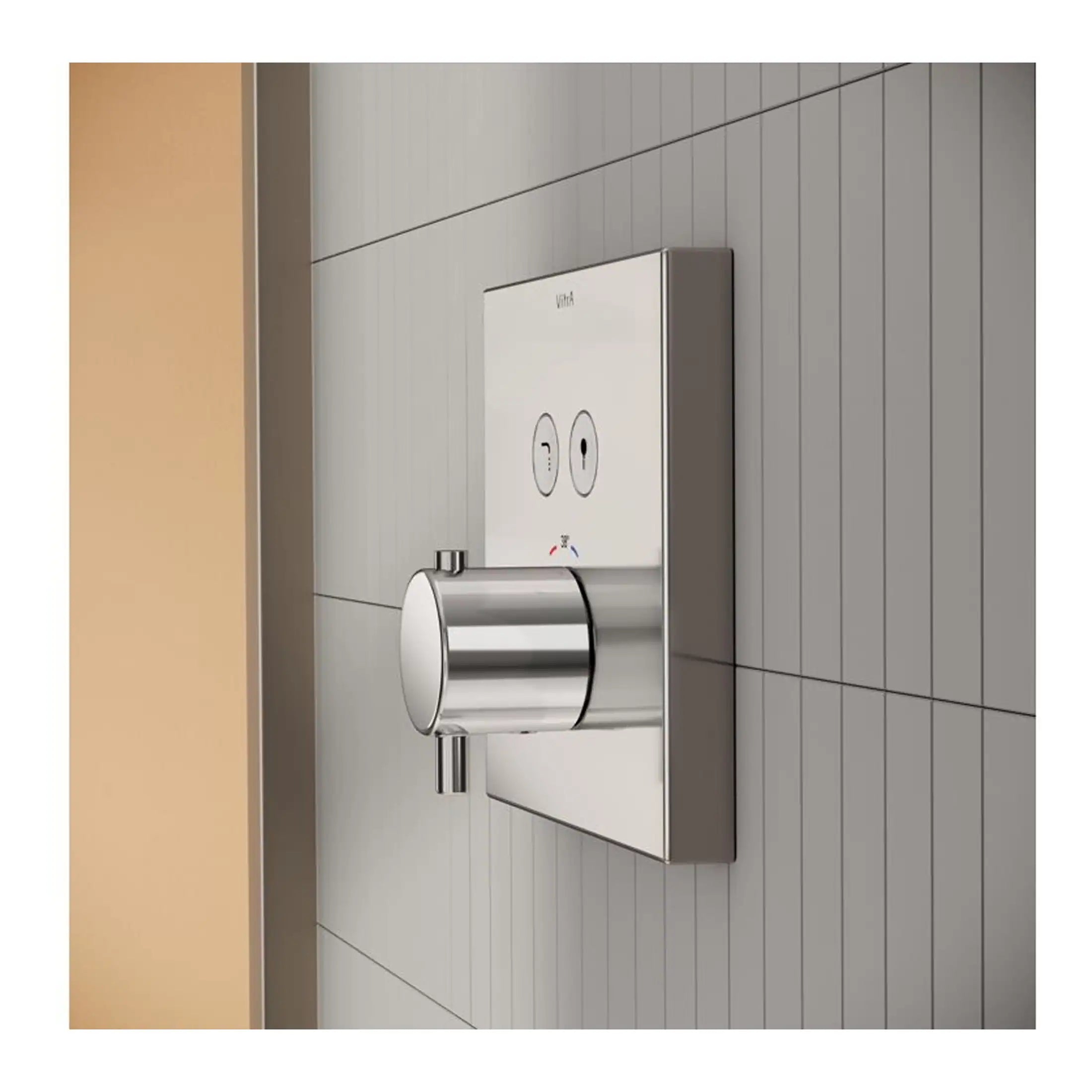 Sleek stainless steel bathroom flush plate with modern design, suitable for contemporary bathrooms and accessible toilet systems.