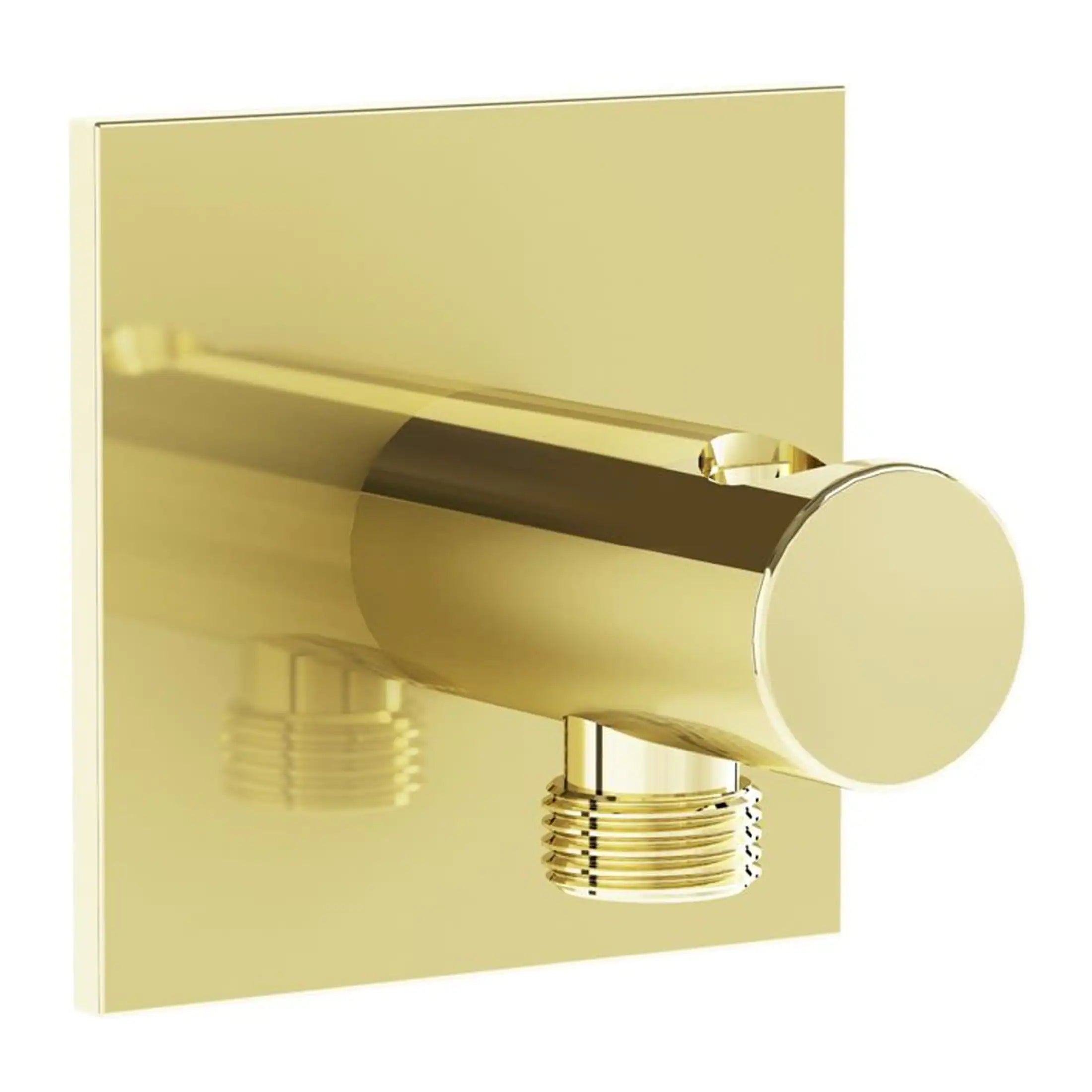 Polished gold flush plate with dual-flush button for modern bathroom design.