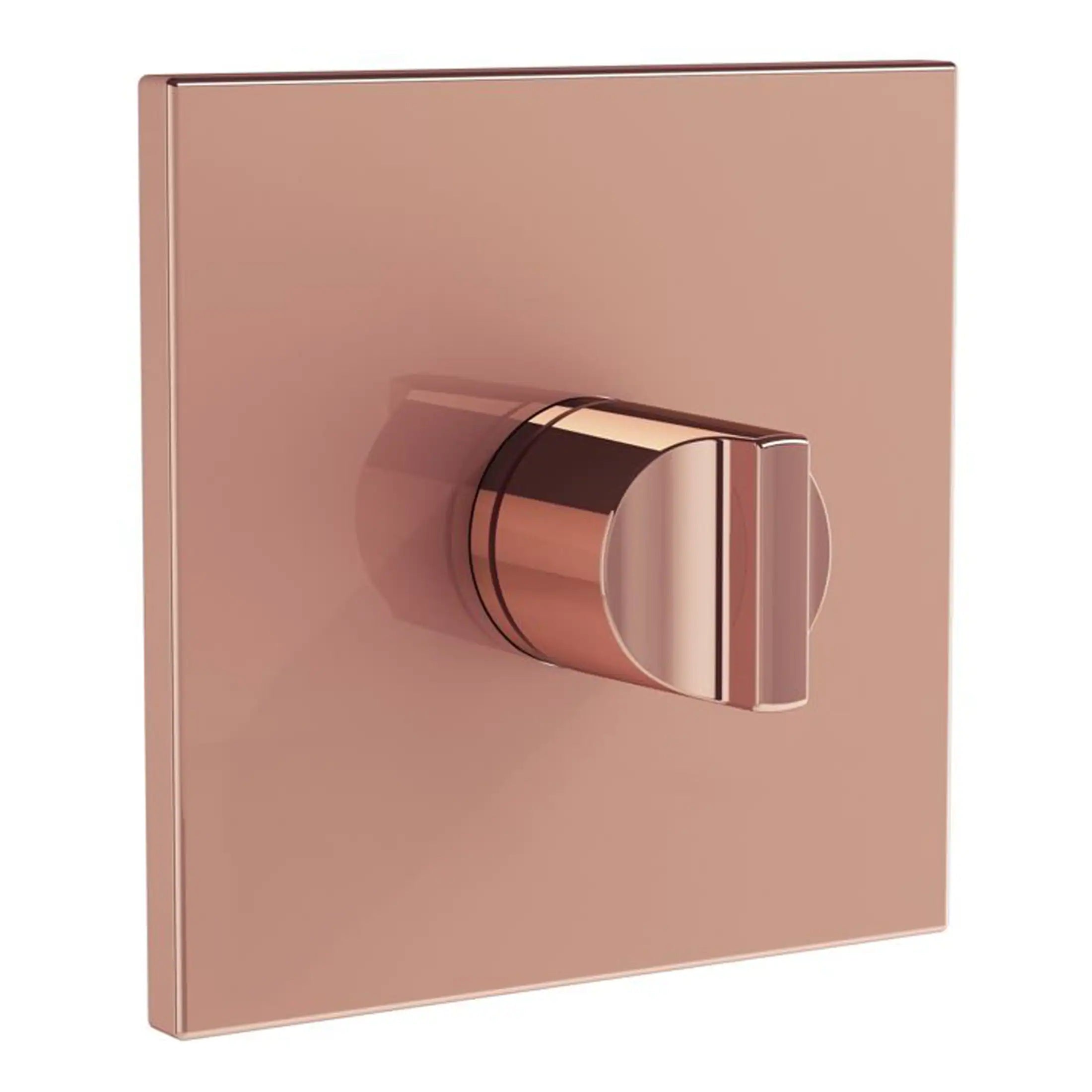 Sleek rose gold bathroom flush plate with modern design, perfect for contemporary bathroom renovations and high-end installations.