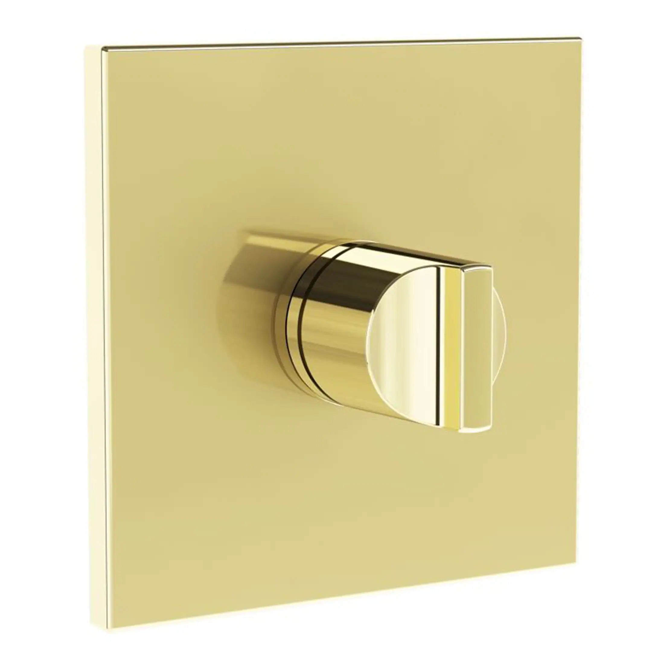 Sleek gold bathroom light switch with modern chrome finish, ideal for luxury bathroom lighting and accessories, enhances contemporary bathroom decor.