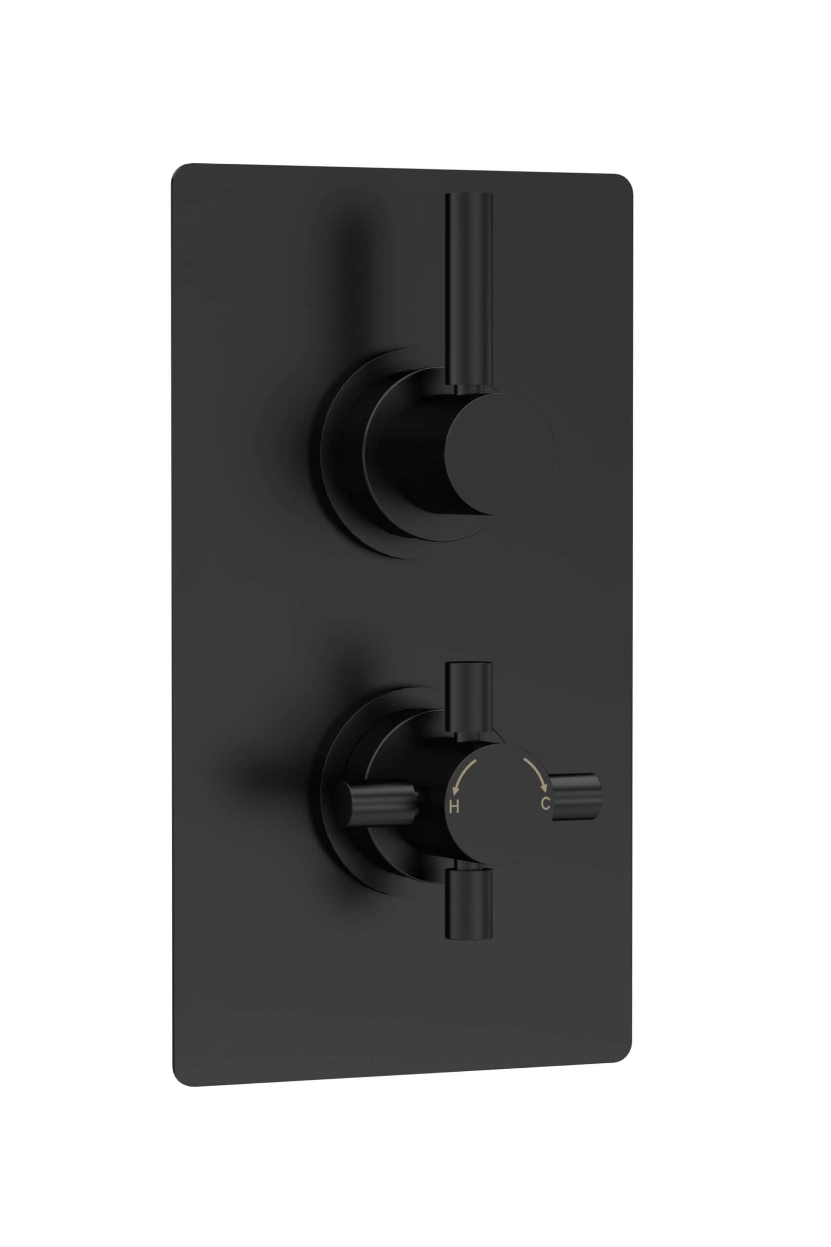 Sleek black thermostatic shower control panel with dual handles, modern design, and precise temperature adjustment for Bubly Bathrooms.