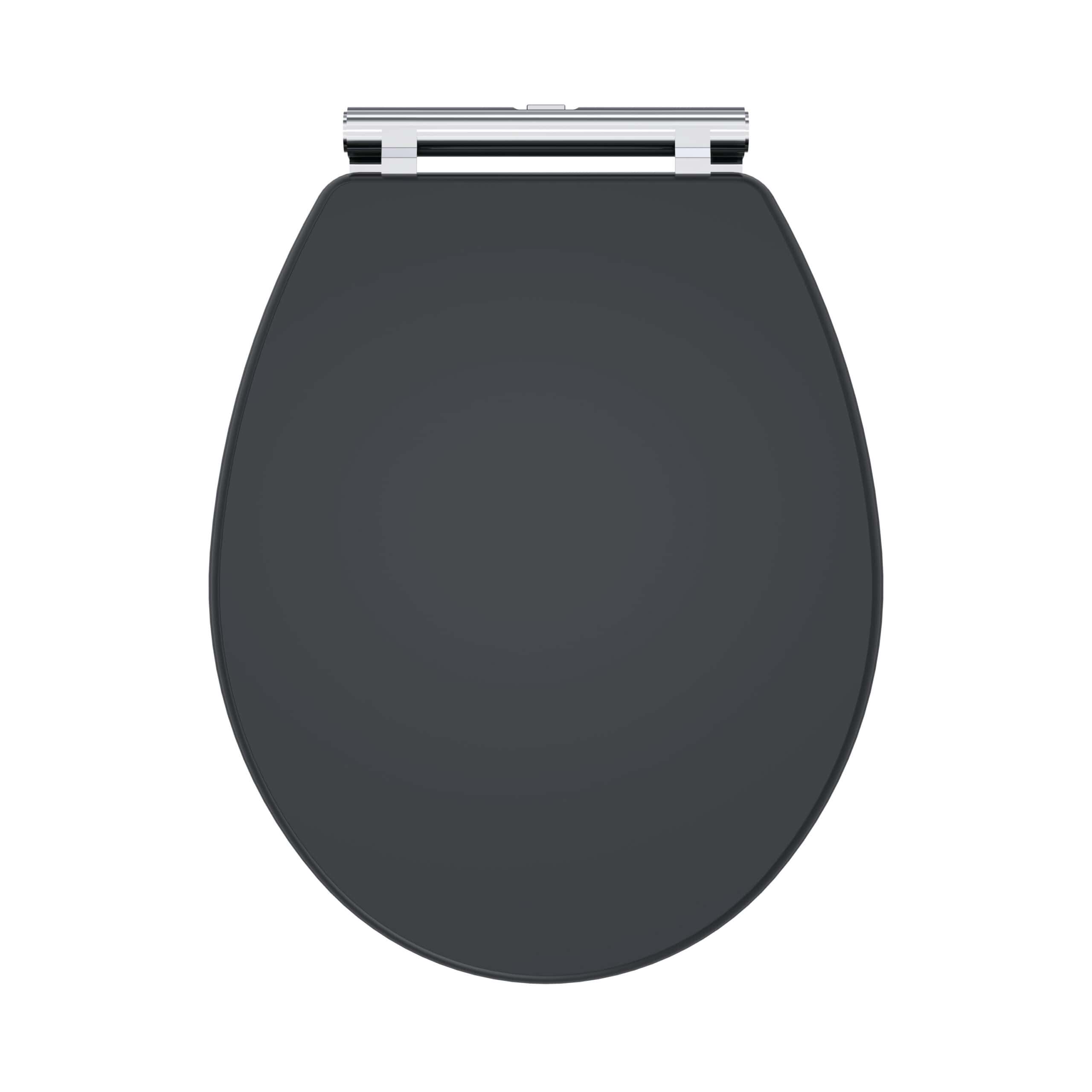 Black toilet seat with modern design, soft-close lid, and durable construction, ideal for stylish and functional bathroom upgrades. Suitable for residential and commercial bathrooms.