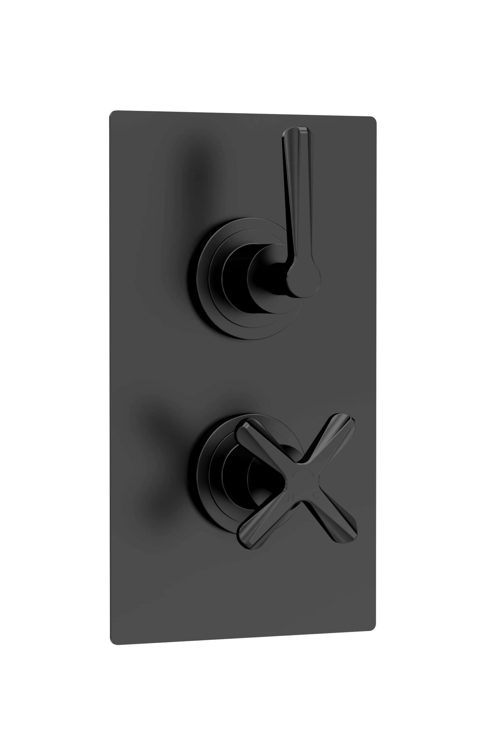 Sleek black bathroom switch with dual toggle controls, modern design, ideal for contemporary bathroom settings, showcasing durability and stylish aesthetics.