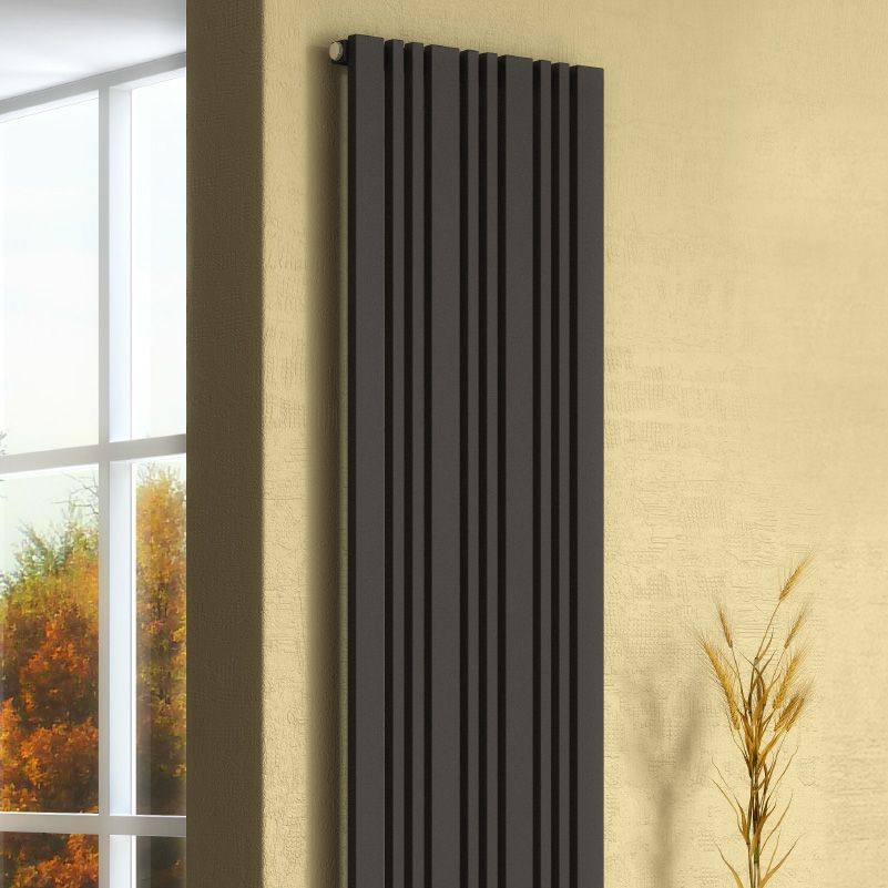 Reina Bonera Vertical Anthracite Designer Radiator
