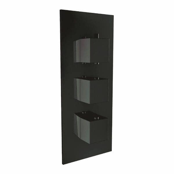 Sleek black wall-mounted bathroom storage unit with three rectangular compartment baskets for organised bathroom essentials. Modern design, ideal for minimalist bathroom decor.
