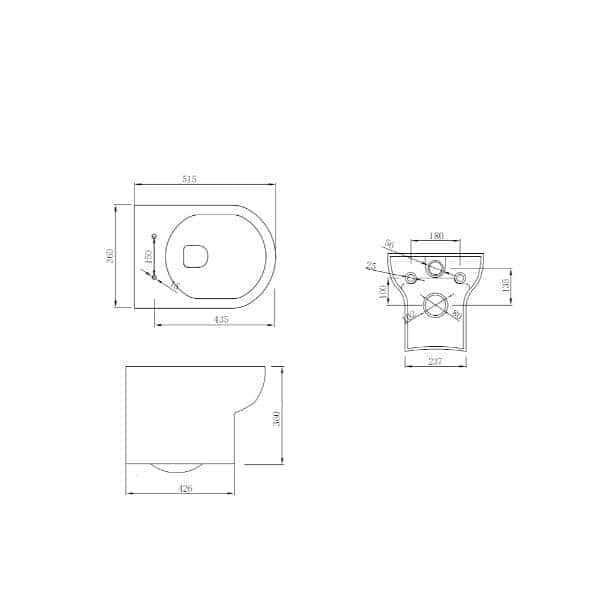 Extra-large technical bathroom blueprint drawing with detailed measurements for toilet and bidet fittings.