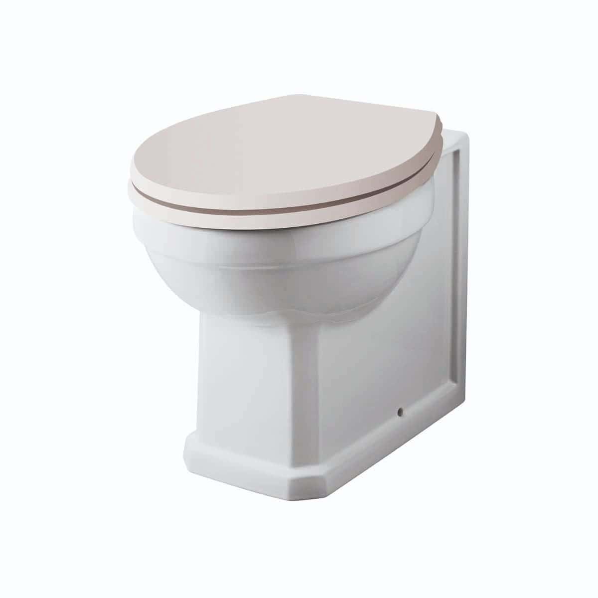Toilet with soft-close seat and modern design, ideal for bathroom upgrades and accessible toilet solutions from Bubly Bathrooms.